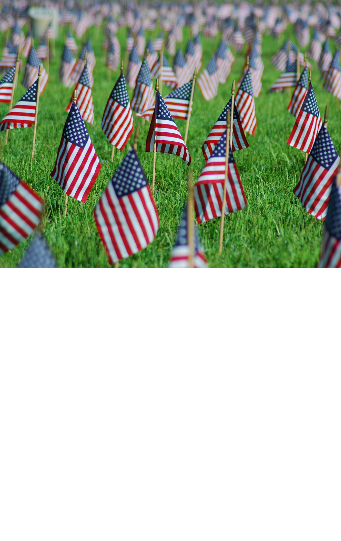 mini American flags in grass