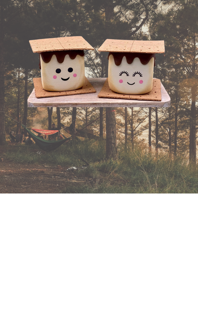 wooden s'mores decor