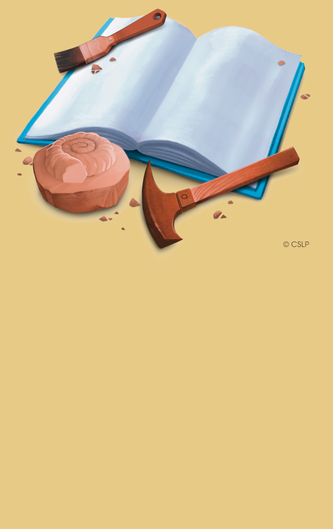 a book, a stone, and paleontology tools