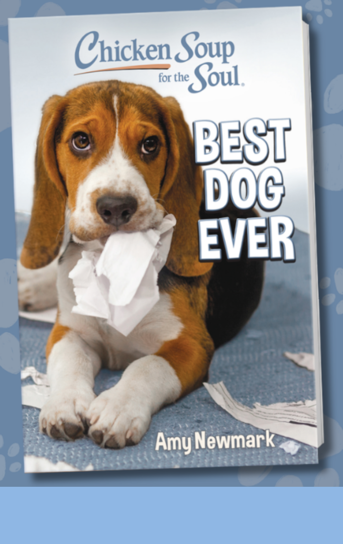 cover of book titled "best dog ever"