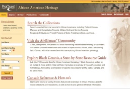 African American Heritage screenshot