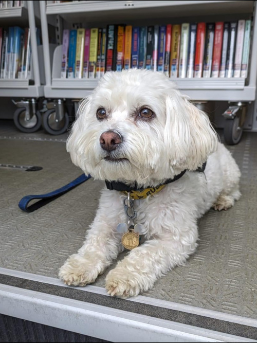 rudy on bookmobile